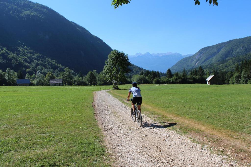 Apartments Na Vasi Bohinj ภายนอก รูปภาพ